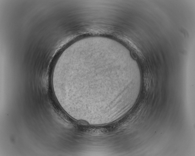 X0000111390488200908071259