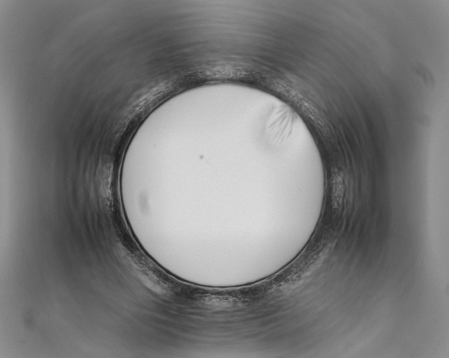 X0000111390490200908071259