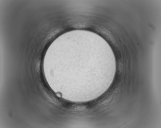 X0000111390491200908071258