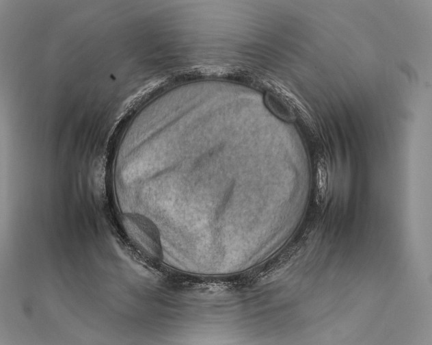 X0000111390492200908071258