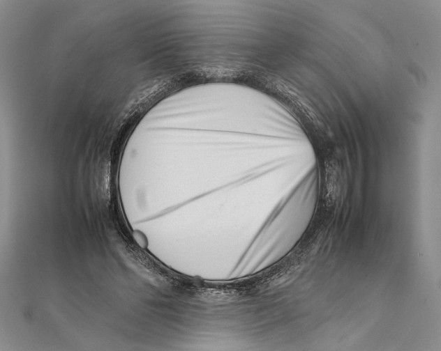 X0000111390494200908071258