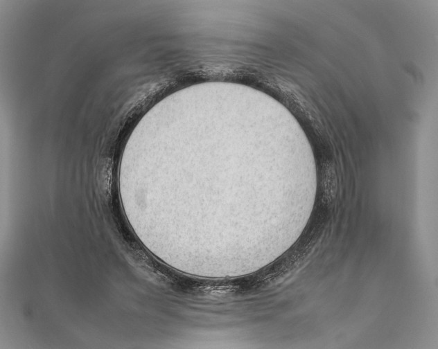 X0000111390495200908071258