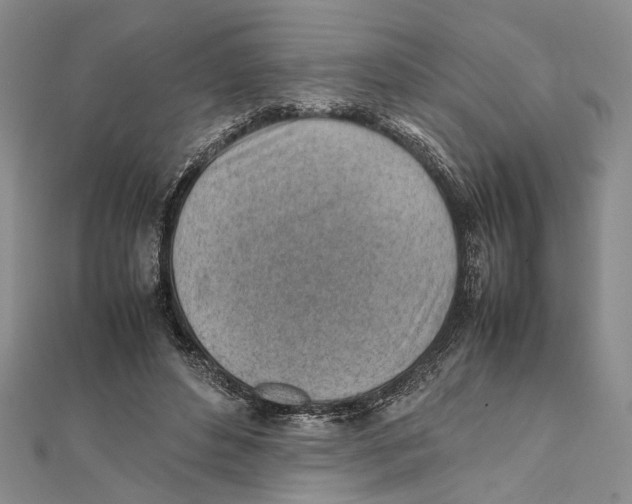 X0000111390496200908071258