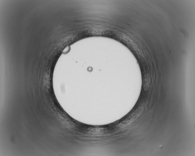 X0000111390497200908071258