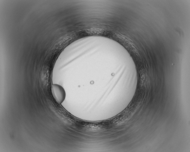 X0000111390498200908071258