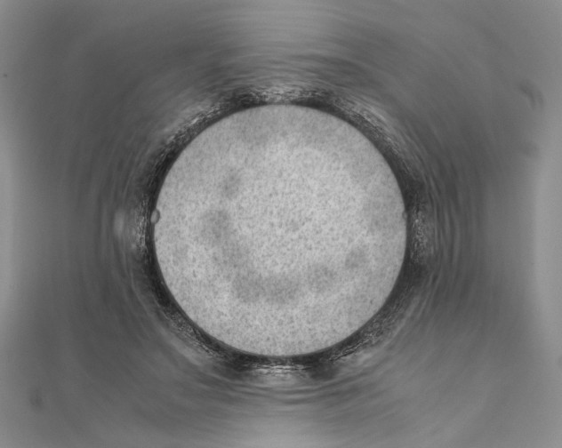 X0000111390499200908071258