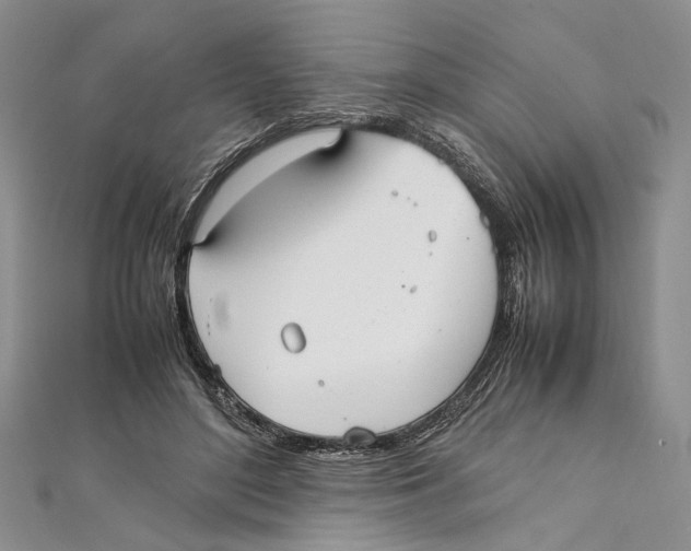 X0000111390500200908071258