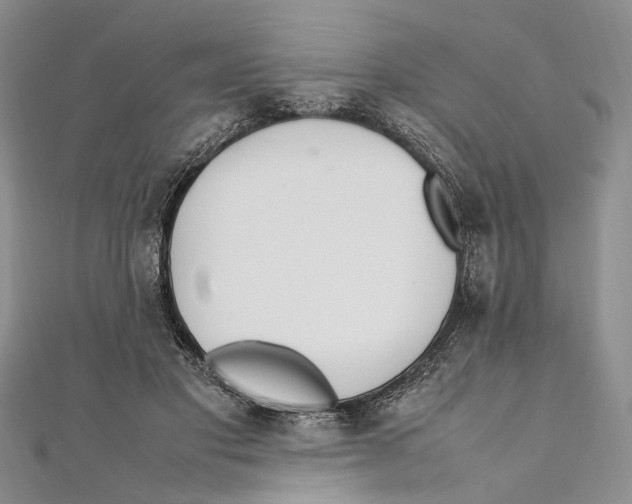 X0000111390501200908071258