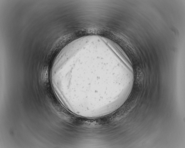 X0000111390502200908071258