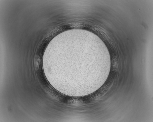 X0000111390503200908071258