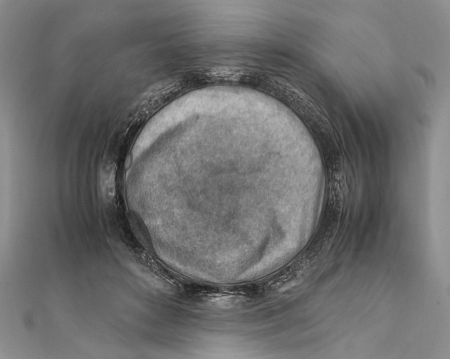 X0000111390504200908071258
