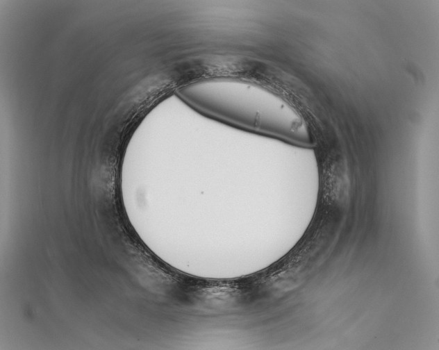 X0000111390505200908071258