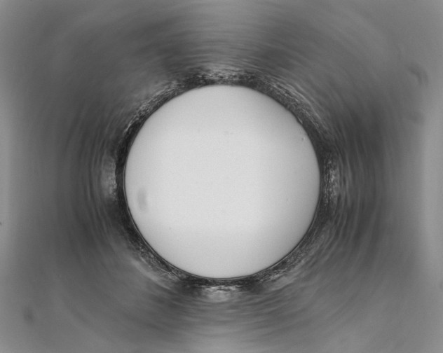 X0000111390508200908071258