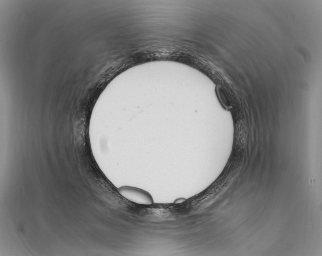 X0000111390509200908071258