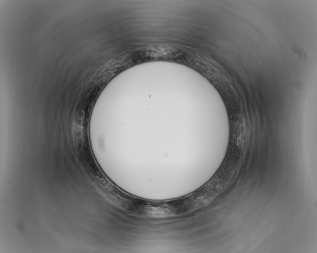 X0000111390510200908071258