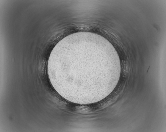 X0000111390511200908071258