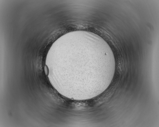 X0000111390512200908071258