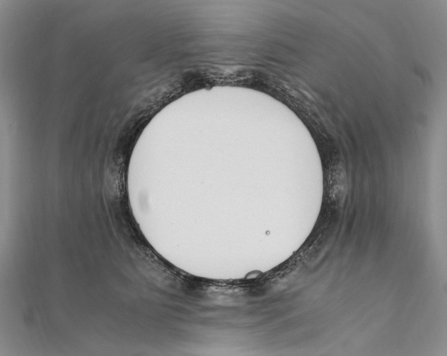 X0000111390515200908071258