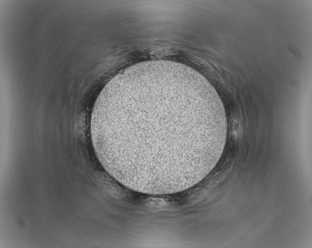 X0000111390519200908071258