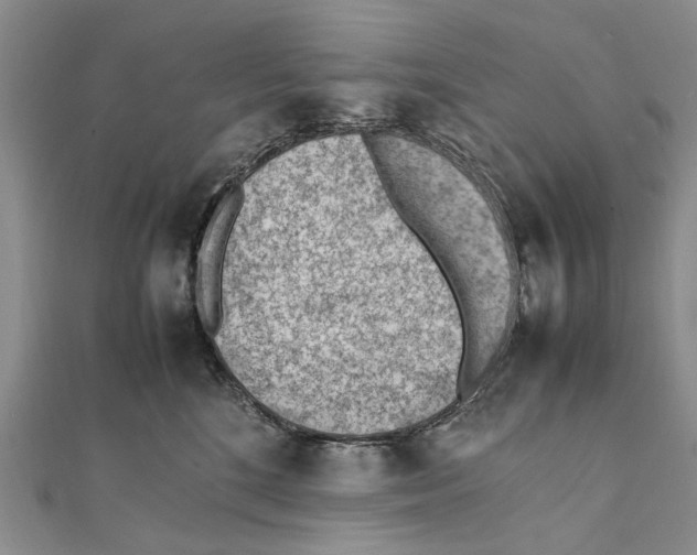 X0000111390520200908071258