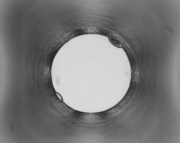 X0000111390521200908071258