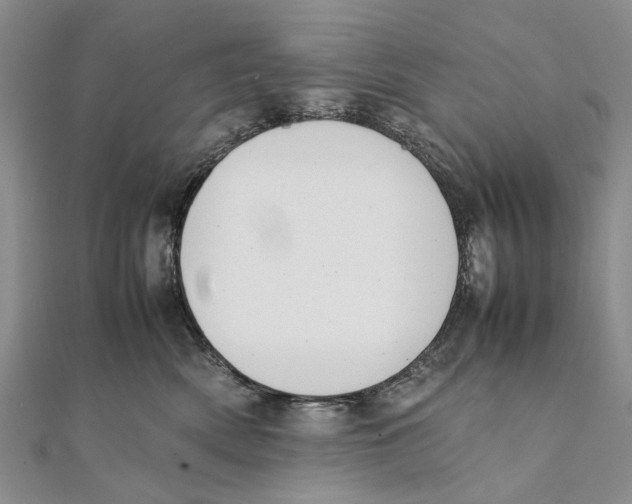 X0000111390522200908071258