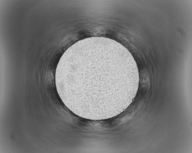 X0000111390523200908071258