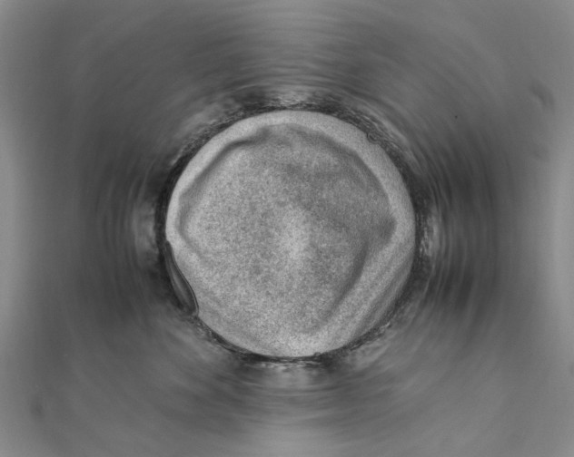 X0000111390524200908071258