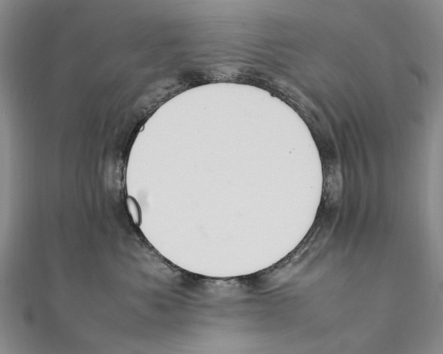 X0000111390525200908071258