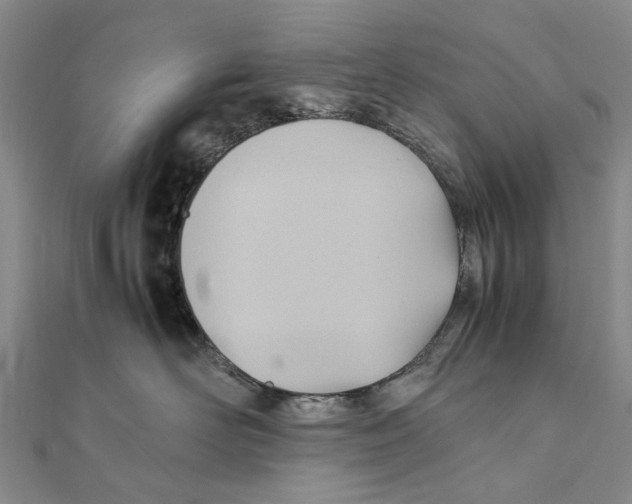 X0000111390526200908071258
