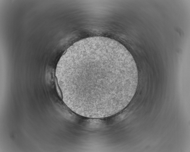 X0000111390528200908071258