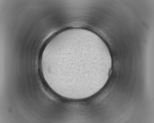 X0000111390530200908071257