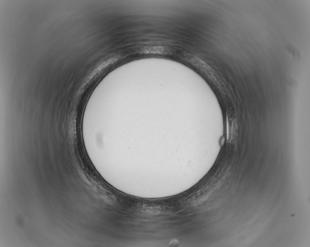 X0000111390531200908071257
