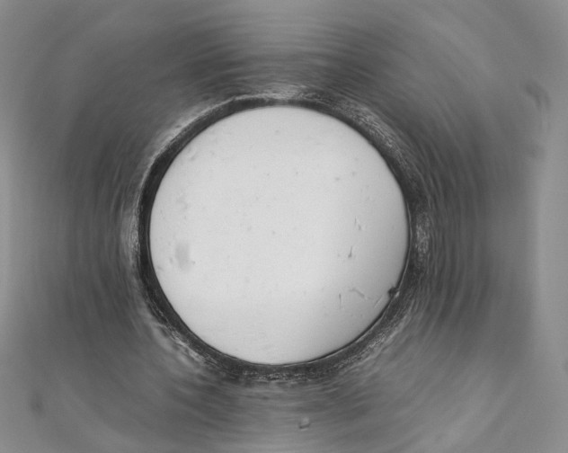 X0000111390532200908071257