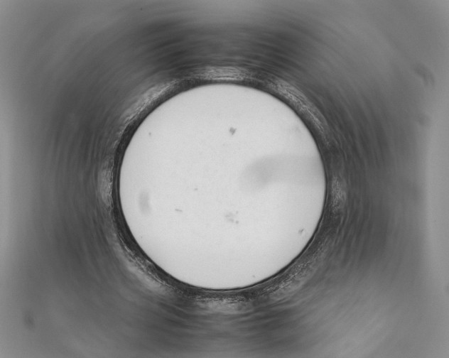 X0000111390533200908071257