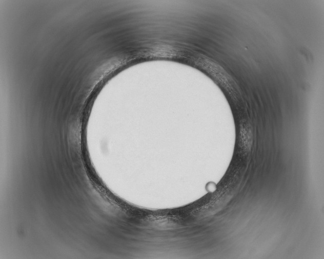 X0000111390534200908071257