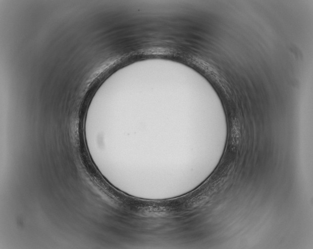 X0000111390535200908071257