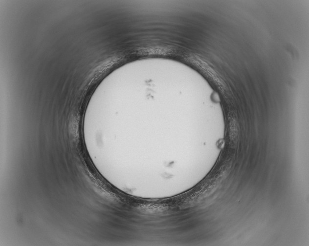 X0000111390537200908071258