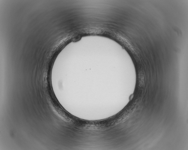 X0000111390538200908071258