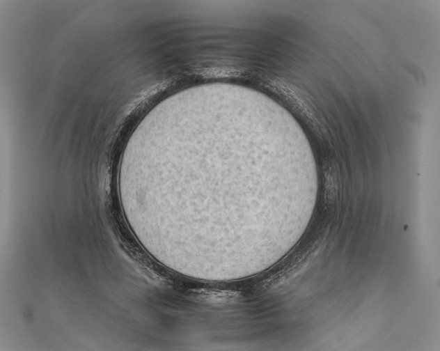 X0000111390539200908071258