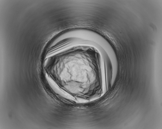 X0000111390540200908071258