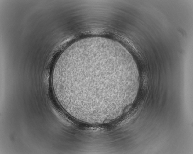 X0000111390542200908071258