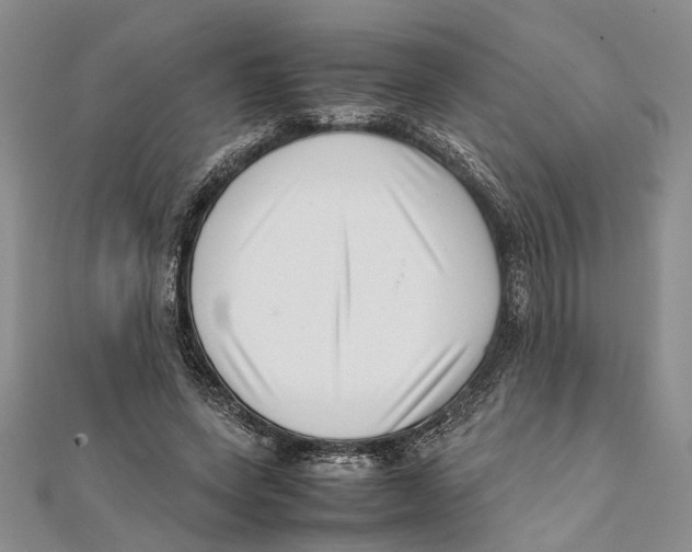 X0000111390543200908071258