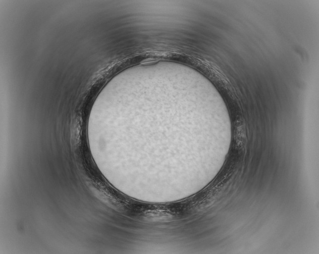 X0000111390544200908071258