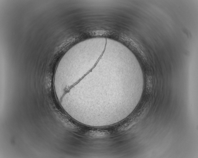 X0000111390545200908071258