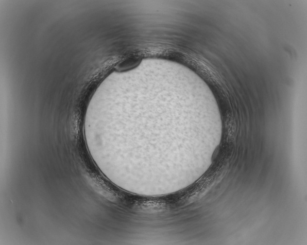 X0000111390546200908071258