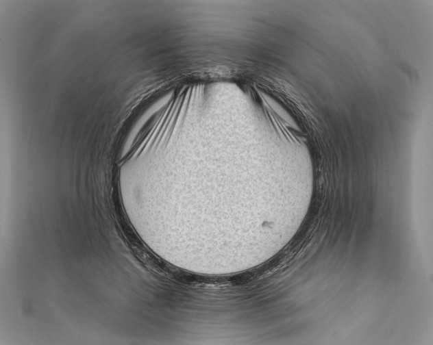 X0000111390548200908071258