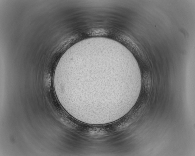 X0000111390549200908071258