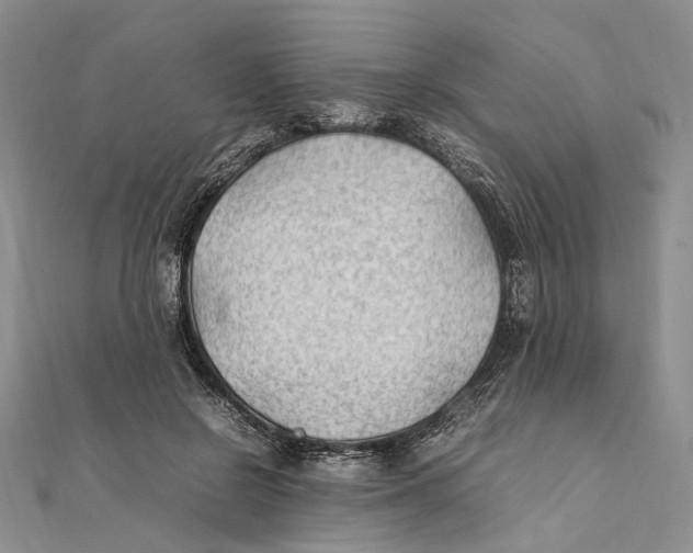 X0000111390550200908071258
