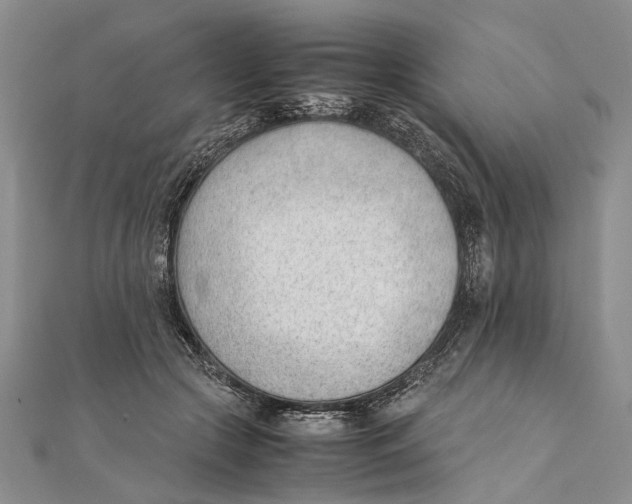 X0000111390553200908071258